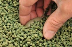 Guru - Lood Guru Impact Bomb - Guru 7 Guru - Lood Guru Impact Bomb - Guru -SENSAS Verkoop 1266185441