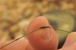 End Tackle Kamo Coated Hooklink - Korda -SENSAS Verkoop 1266193181