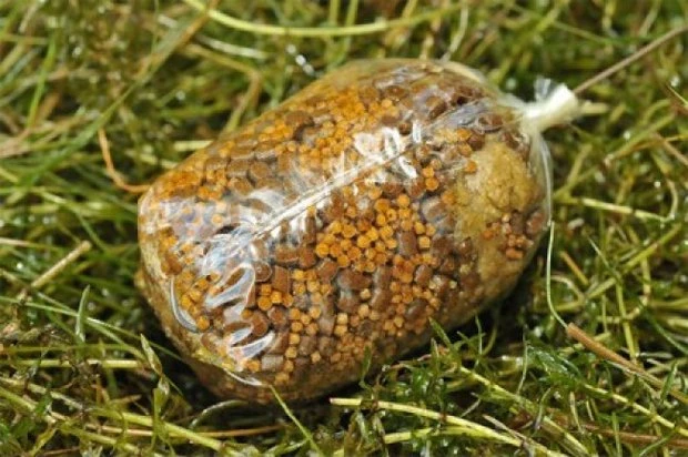 End Tackle Solidz PVA Bags - Korda 2 End Tackle Solidz PVA Bags - Korda - Afbeelding 2