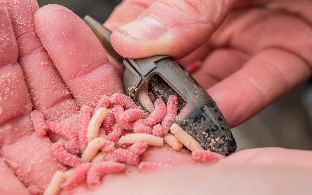 Preston - Feederkorven ICS In-Line Maggot Feeder - Preston 2 Preston - Feederkorven ICS In-Line Maggot Feeder - Preston - Afbeelding 2