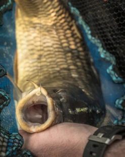 Schepnet 16" Match Landing Net - Preston -SENSAS Verkoop 1266200511