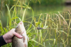 Matrix - Methodfeeder Open Alloy Feeder Inter - Matrix -SENSAS Verkoop 1407170536