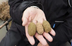 Preston - Methodfeeder Elasticated Flat Method Feeder - Preston -SENSAS Verkoop 1442713812