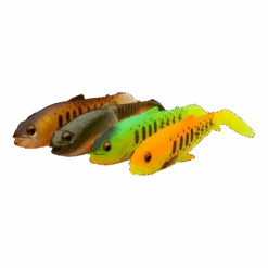 Savage Gear - Softbaits Craft Cannibal - Savage Gear -SENSAS Verkoop 1520009137