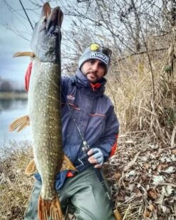 Sakura - Kunstaas Cajun Bladed Jig - Sakura -SENSAS Verkoop 1527176482