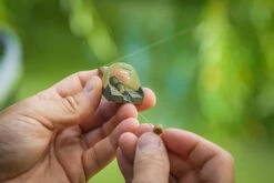 Matrix - Pellet Feeder - Matrix -SENSAS Verkoop 1792439037