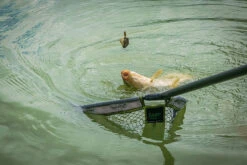 Matrix - Pellet Feeder - Matrix -SENSAS Verkoop 1792439043