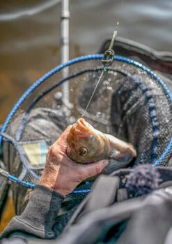 Preston - Schepnet Free Flow Landing Net - Preston -SENSAS Verkoop 1810100136