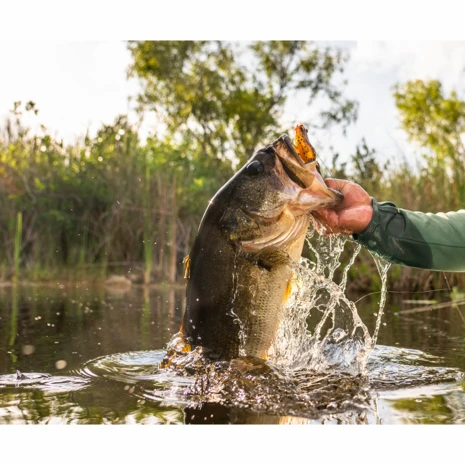 Savage Gear - Kunstaas Hop Walker Frog 5,5cm 15g - Savage Gear 4 Savage Gear - Kunstaas Hop Walker Frog 5,5cm 15g - Savage Gear - Afbeelding 4