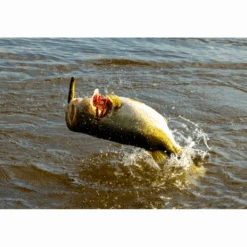 Savage Gear - Kunstaas Prop Walker 10,0cm - 21g - Savage Gear 3 Savage Gear - Kunstaas Prop Walker 10,0cm - 21g - Savage Gear -SENSAS Verkoop 1866650304