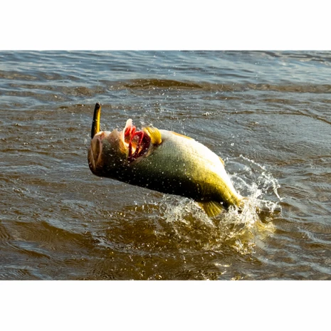 Savage Gear - Kunstaas Prop Walker 10,0cm - 21g - Savage Gear 2 Savage Gear - Kunstaas Prop Walker 10,0cm - 21g - Savage Gear - Afbeelding 2