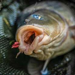 Korum - Haken Grappler Barbed - Korum 5 Korum - Haken Grappler Barbed - Korum -SENSAS Verkoop 1944874725