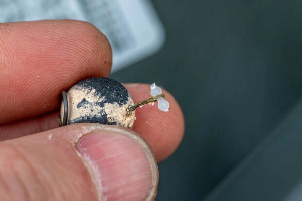 Korum - Multi Stops - Korum 2 Korum - Multi Stops - Korum - Afbeelding 2